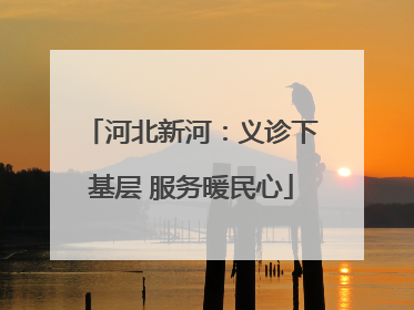 河北新河：义诊下基层 服务暖民心