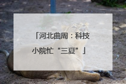 河北曲周：科技小院忙“三夏”