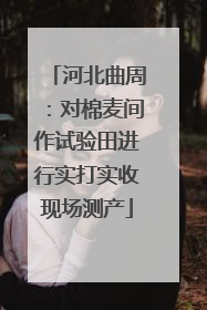 河北曲周：对棉麦间作试验田进行实打实收现场测产