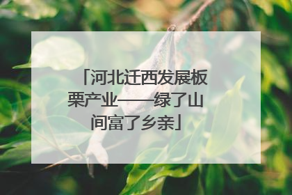 河北迁西发展板栗产业——绿了山间富了乡亲