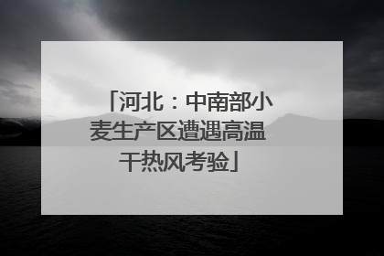 河北：中南部小麦生产区遭遇高温干热风考验