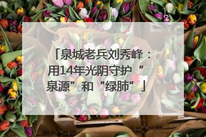 泉城老兵刘秀峰：用14年光阴守护“泉源”和“绿肺”