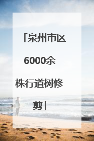 泉州市区6000余株行道树修剪