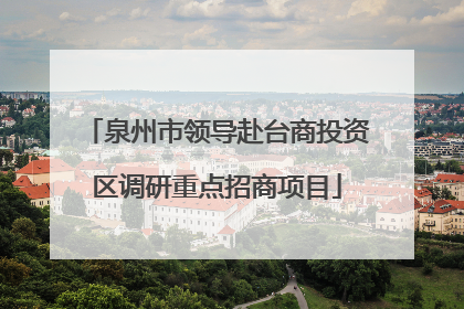 泉州市领导赴台商投资区调研重点招商项目