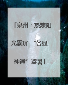 泉州：热辣阳光霸屏 “各显神通”避暑
