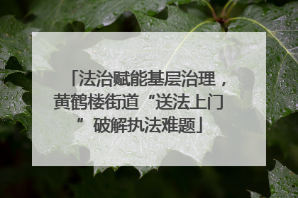 法治赋能基层治理，黄鹤楼街道“送法上门”破解执法难题