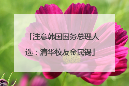 注意韩国国务总理人选：清华校友金民锡