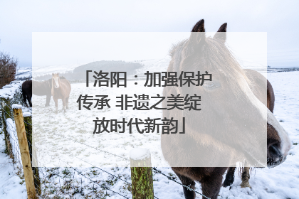 洛阳：加强保护传承 非遗之美绽放时代新韵