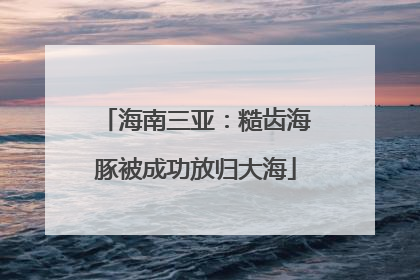 海南三亚：糙齿海豚被成功放归大海