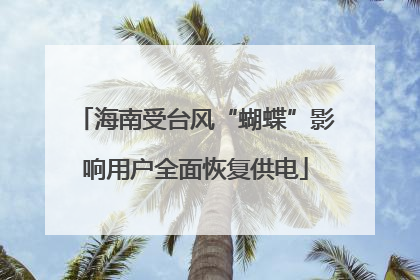 海南受台风“蝴蝶”影响用户全面恢复供电