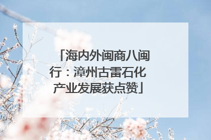 海内外闽商八闽行：漳州古雷石化产业发展获点赞