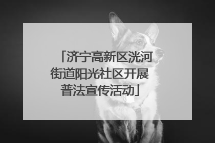 济宁高新区洸河街道阳光社区开展普法宣传活动