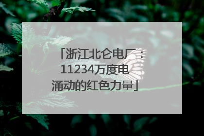 浙江北仑电厂：11234万度电涌动的红色力量