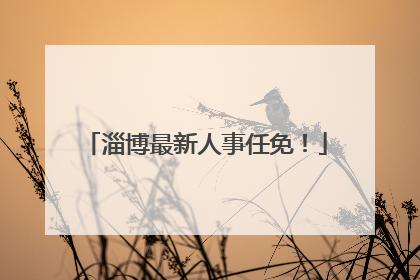 淄博最新人事任免！