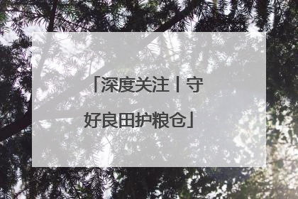 深度关注丨守好良田护粮仓