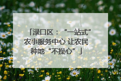 渌口区：“一站式”农事服务中心 让农民种地“不操心”