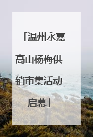 温州永嘉高山杨梅供销市集活动启幕