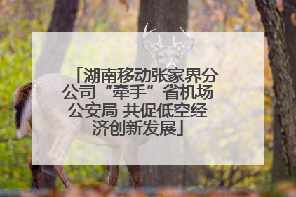 湖南移动张家界分公司“牵手”省机场公安局 共促低空经济创新发展
