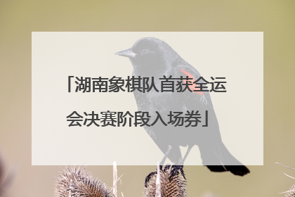 湖南象棋队首获全运会决赛阶段入场券