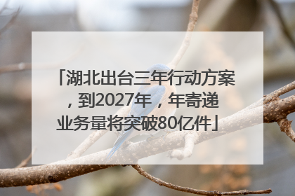 湖北出台三年行动方案，到2027年，年寄递业务量将突破80亿件