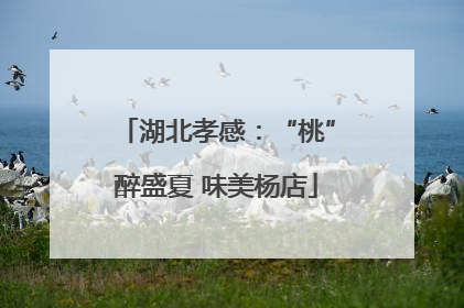 湖北孝感：“桃”醉盛夏 味美杨店