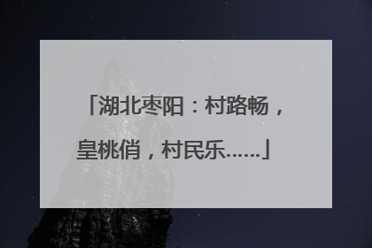 湖北枣阳：村路畅，皇桃俏，村民乐……