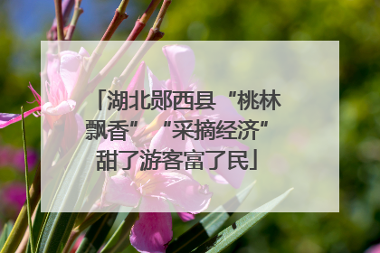 湖北郧西县“桃林飘香”“采摘经济”甜了游客富了民