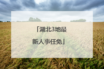 湖北3地最新人事任免