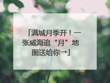 满城月季开！一张威海追“月”地图送给你→