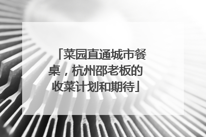 菜园直通城市餐桌，杭州邵老板的收菜计划和期待