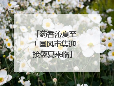 药香沁夏至！国风市集迎接盛夏来临