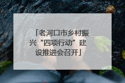 老河口市乡村振兴“四项行动”建设推进会召开