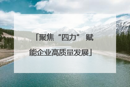 聚焦“四力” 赋能企业高质量发展