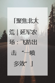 聚焦北大荒｜延军农场：飞防出击 “一喷多效”