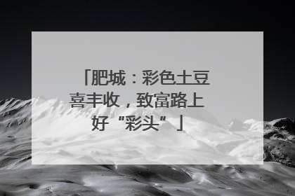 肥城：彩色土豆喜丰收，致富路上好“彩头”