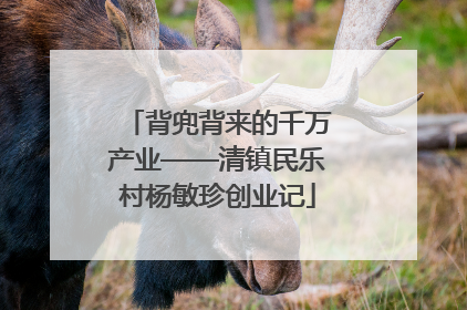 背兜背来的千万产业——清镇民乐村杨敏珍创业记