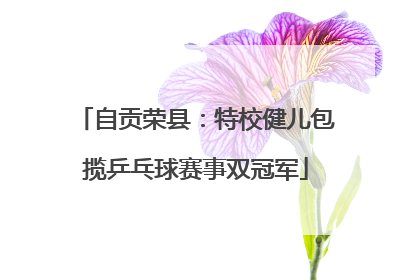 自贡荣县：特校健儿包揽乒乓球赛事双冠军
