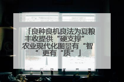 良种良机良法为夏粮丰收提供“硬支撑” 农业现代化图景有“智”更有“质”
