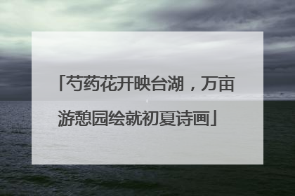 芍药花开映台湖，万亩游憩园绘就初夏诗画
