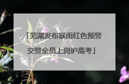 芜湖发布暴雨红色预警 交警全员上岗护高考