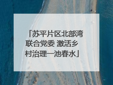 苏平片区北部湾联合党委 激活乡村治理一池春水