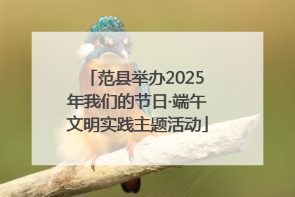 范县举办2025年我们的节日·端午文明实践主题活动