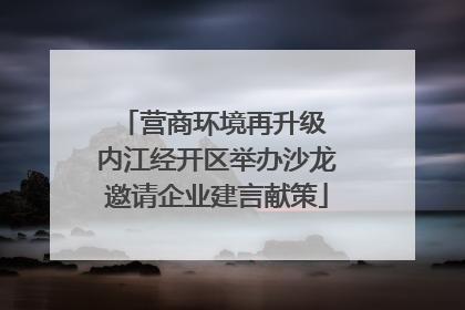 营商环境再升级 内江经开区举办沙龙邀请企业建言献策