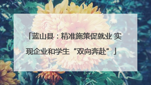 蓝山县：精准施策促就业 实现企业和学生“双向奔赴”