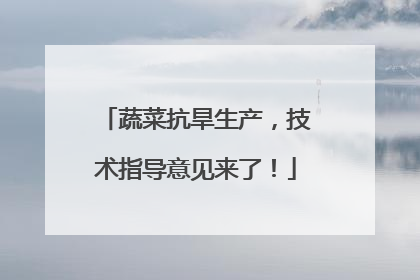 蔬菜抗旱生产，技术指导意见来了！