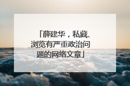 薛建华，私藏、浏览有严重政治问题的网络文章