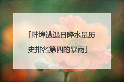 蚌埠遭遇日降水量历史排名第四的暴雨