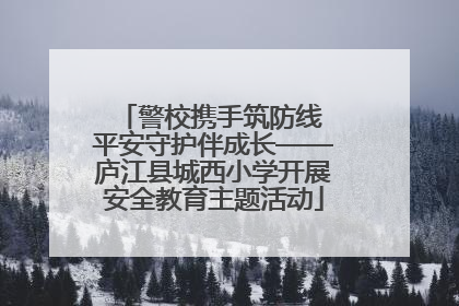 警校携手筑防线 平安守护伴成长——庐江县城西小学开展安全教育主题活动