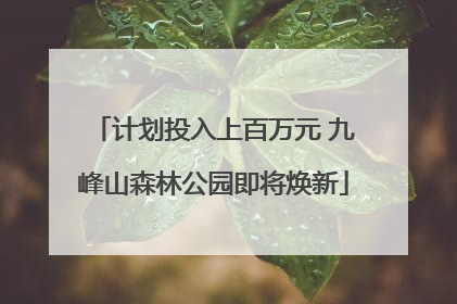 计划投入上百万元 九峰山森林公园即将焕新