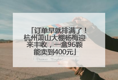 订单早就排满了！杭州萧山大棚杨梅迎来丰收，一盒96颗能卖到400元